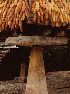 Imagen de la seccin de Regional